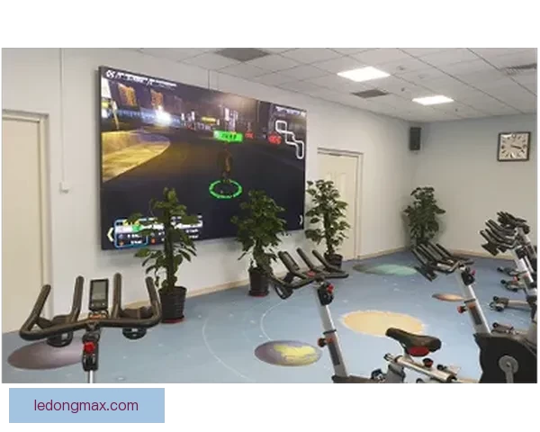乐动体育引领数字化潮流 打造全新智能体育体验平台